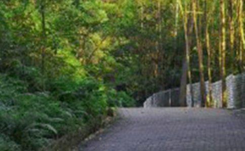 ����ɽ���Ľš���ѧ���15ƪ[����]