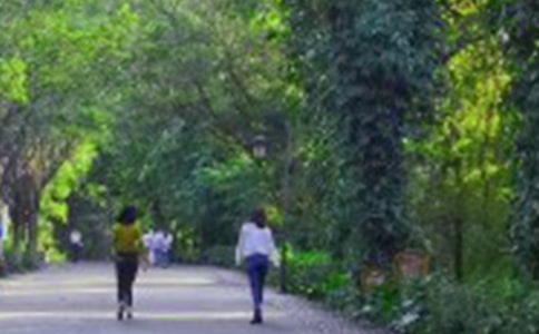 ��ɽ��ܽ� 