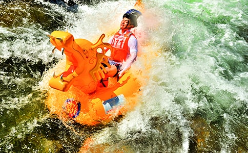 ��³����Ư�����и�[���15ƪ]