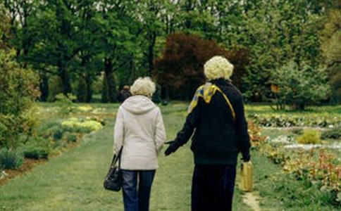 《树婆婆与鸟娃娃》教案