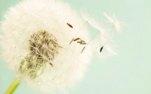 ����Ů�ѹ�Ӣ�������