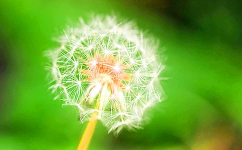 ���ѹ�Ӣ�����ӡ���ѧ���