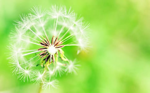 ���ѹ�Ӣ����ѧ���