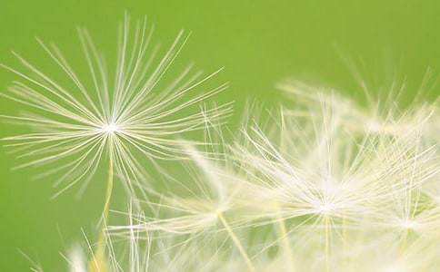 ���ѹ�Ӣ���̰�