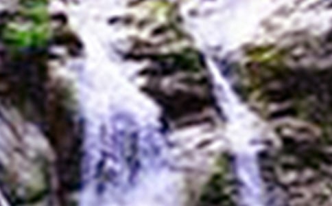 �������ٲ������14ƪ