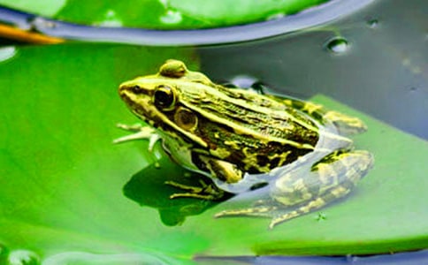 ����������������ѧ���