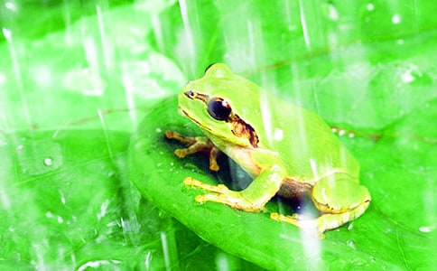 �а��ѧ���������̰�