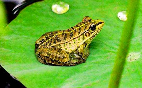 С�������������Խ̰�