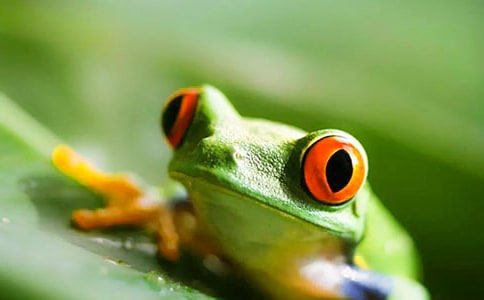 С������С����������˵�θ�̰�