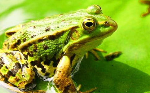 ����дʫ��ѧ���15ƪ