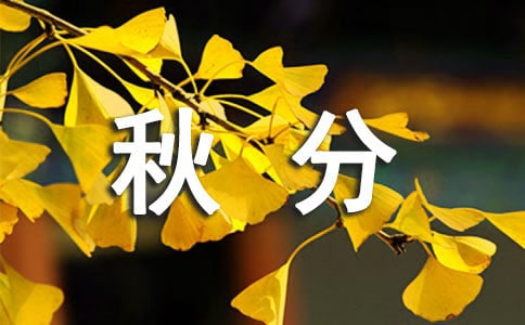 ��ֽ��������ʺ���