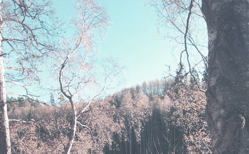 �＾�ļ���ʺ���