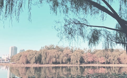 �＾��ѧ�Ĺ����ƻ� 