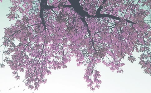 秋季天气转凉的微信问候语