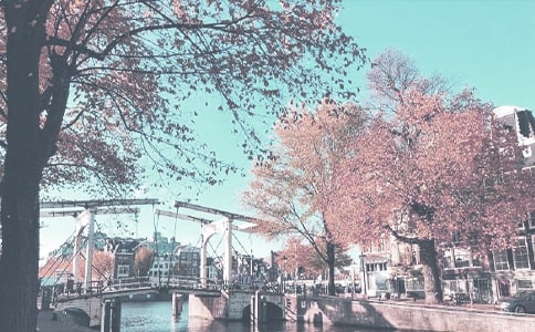 小学秋季全国交通安全日活动总结