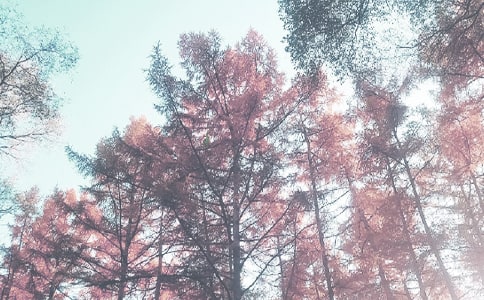 �＾�����ƻ�