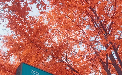 �����յĻ�������