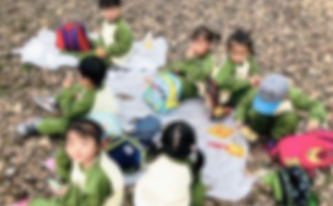 秋游的教学反思