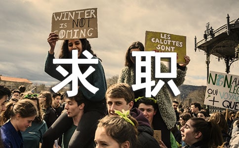 ӦƸ��ְ��������(12ƪ)