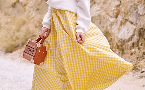 ��һ����ȹ�ӡ������