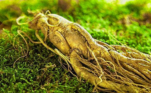 ���˲α������鷶��