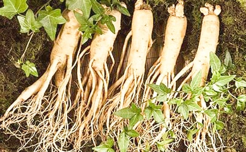 ���˲�������