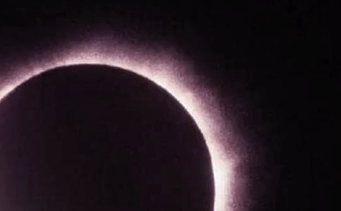 ����ʳ����ʳ����ѧ���