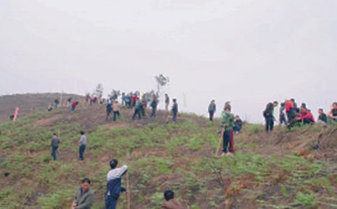 СѧɨĹ��ܽ�