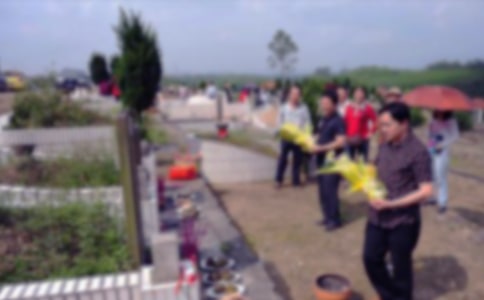 小学生扫墓活动总结