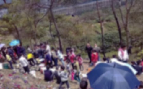 Сѧ��ɨĹ��ܽ�15ƪ