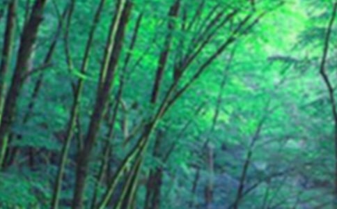 ��ɭ�ֱ��������15ƪ[����]