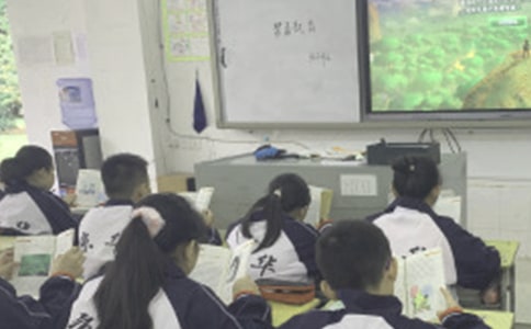 �Ͽεĳٵ�������