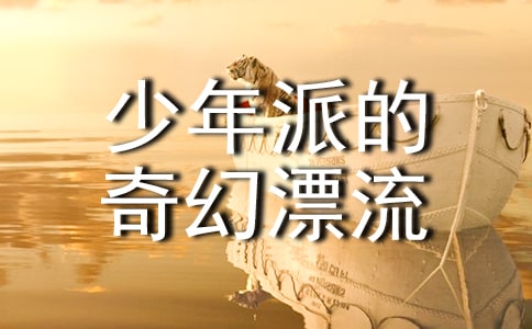 《少年派的奇幻漂流》观后感900字