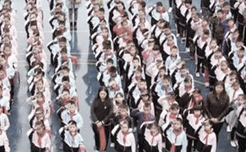 �׶�԰�������ݽ���