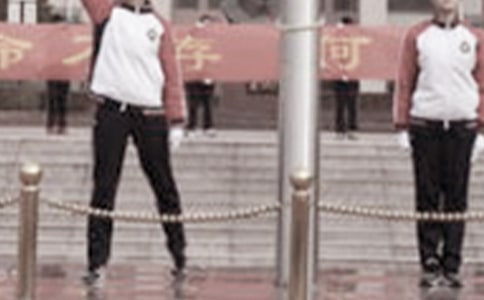 �׶�԰�������ݽ���