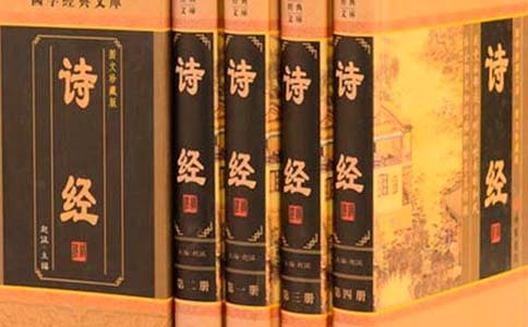 诗经读后感13篇