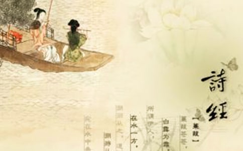 【精】诗经读后感