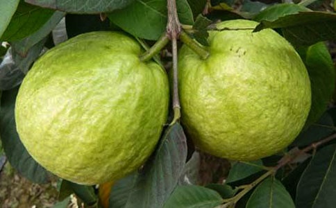 ��ʯ�񡷽�ѧ���