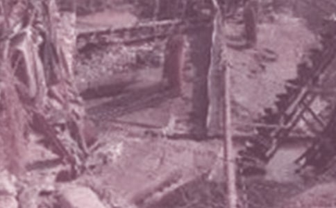 ʯ��Ա�������ܽ�