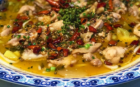 食物中毒及预防教案