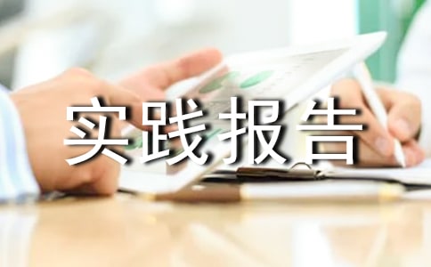 【实用】社会实践报告集合6篇