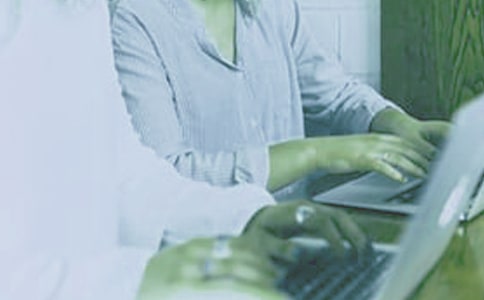 ��ί��֯��ʵϰ�ĵ������