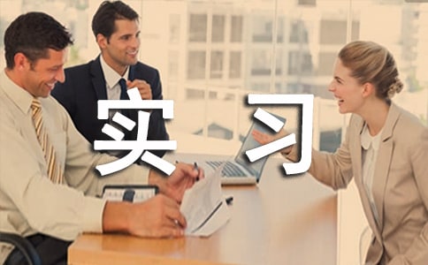 ʵϰ�ܽ�ģ��