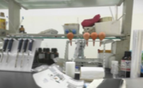 ʵ�����о�������ְ��