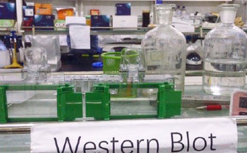 实验室装修合同