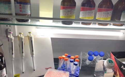 ѧУʵ���Ҹ��˹����ܽ᷶��