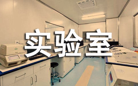 实验室的工作总结