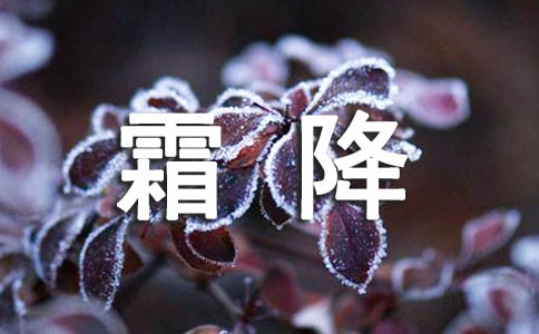 霜降节气问候语精品(15篇)