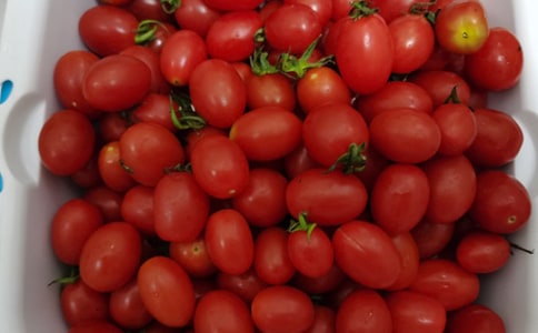 水果店转让合同