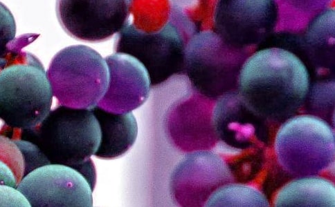 [�ϼ�]ˮ��������ͬ15ƪ